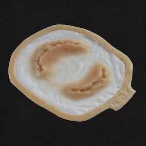 May include: A prosthetic wound with a light skin tone, featuring a raised, textured area in a curved shape. The wound is surrounded by a beige border and set against a black background. The product is designed for special effects.