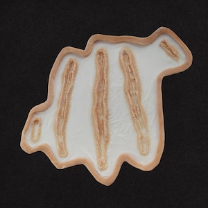 Prótese de silicone com marcas de garras e arranhões profundos, sem látex, próteses de Halloween, maquiagem com efeitos especiais, cosplay