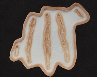 Claw Mark Scratch / Diepe kras siliconen prothese / Latexvrij / Halloween-prothesen / SFX-make-up / Cosplay