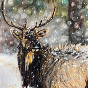 Wapiti de taureaux pastel, wapiti taureau, dessin délan, wapiti dhiver, animal de montagne image 1