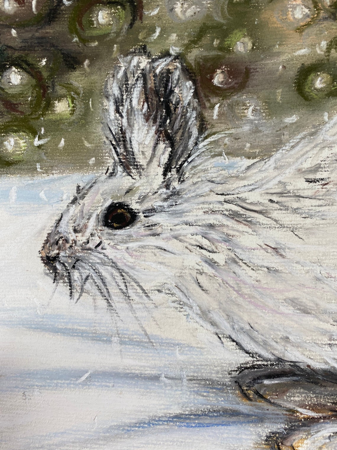 Snowshoe Hare, Hare, Rabbit, Bunny, Arctic Animals, Animal Art, Hare
