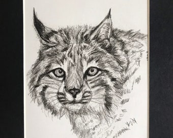 Bobcat Drawing, Charcoal Bobcat, Animal Art