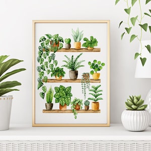 Pflanzen Poster 'Plant Shelfie 2' Großformat Fine Art Druck botanische Kunst Wanddekoration Aquarell Malerei kleines Geschenk Bild 1