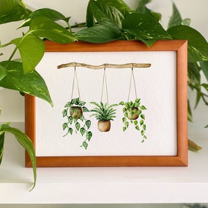 Hängepflanzen Poster, Aquarellbild Zimmerpflanzen, botanische Wanddekoration, Monstera Farn Philodendron Bild 1