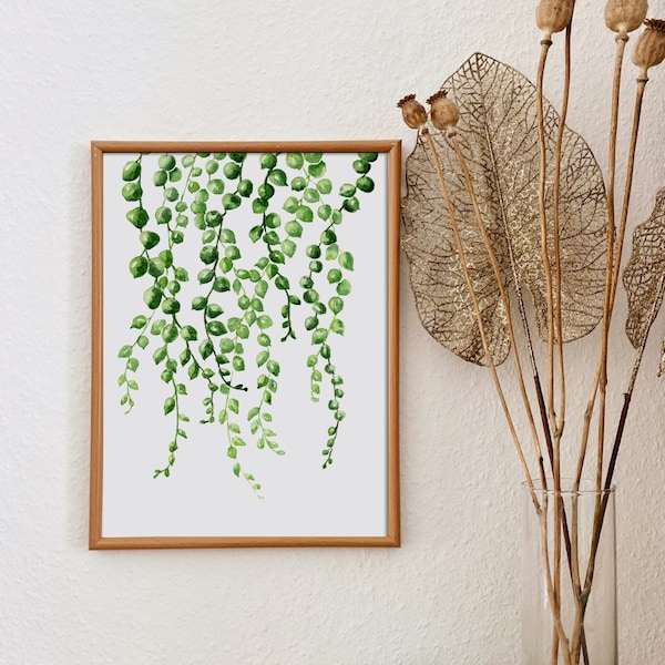 Plant Poster String of pearls, fine art print, botanical watercolor illustration, green leaves wall decoration, plant lover gift