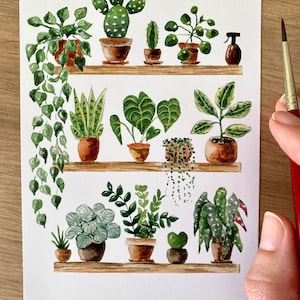 Postkarte A6 'Plant Shelfie' Fine Art Druck Pflanzen Illustration Aquarell Malerei botanische Kunst kleines Geschenk Bild 2