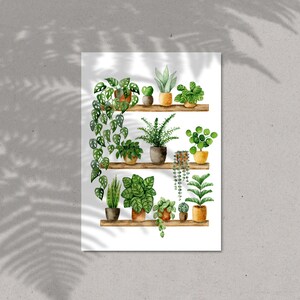 Pflanzen Poster 'Plant Shelfie 2' Großformat Fine Art Druck botanische Kunst Wanddekoration Aquarell Malerei kleines Geschenk Bild 10