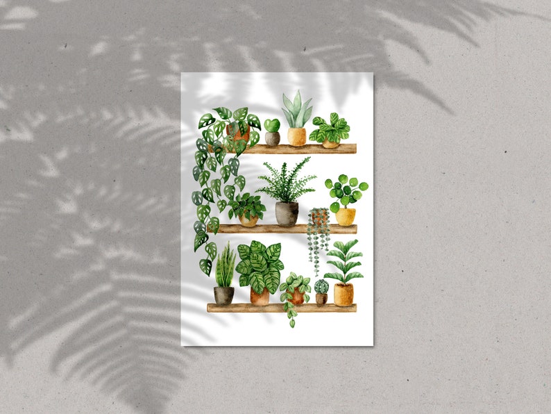 Pflanzen Poster 'Plant Shelfie 2' Großformat Fine Art Druck botanische Kunst Wanddekoration Aquarell Malerei kleines Geschenk Bild 10