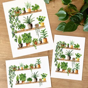 Pflanzen Poster 'Plant Shelfie 2' Großformat Fine Art Druck botanische Kunst Wanddekoration Aquarell Malerei kleines Geschenk Bild 3