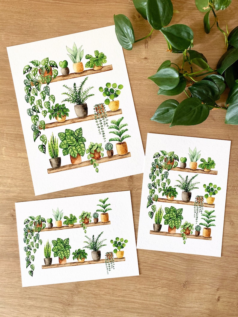 Pflanzen Poster 'Plant Shelfie 2' Großformat Fine Art Druck botanische Kunst Wanddekoration Aquarell Malerei kleines Geschenk Bild 3