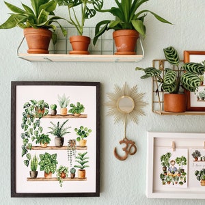 Pflanzen Poster 'Plant Shelfie 2' Großformat Fine Art Druck botanische Kunst Wanddekoration Aquarell Malerei kleines Geschenk Bild 2