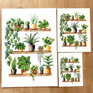 Pflanzen Poster 'Plant Shelfie 2' Großformat Fine Art Druck botanische Kunst Wanddekoration Aquarell Malerei kleines Geschenk Bild 6