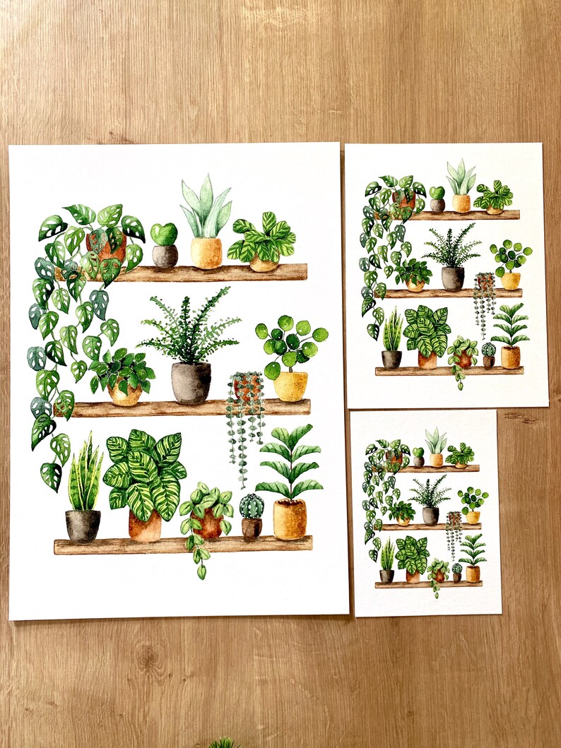 Pflanzen Poster 'Plant Shelfie 2' Großformat Fine Art Druck botanische Kunst Wanddekoration Aquarell Malerei kleines Geschenk Bild 6