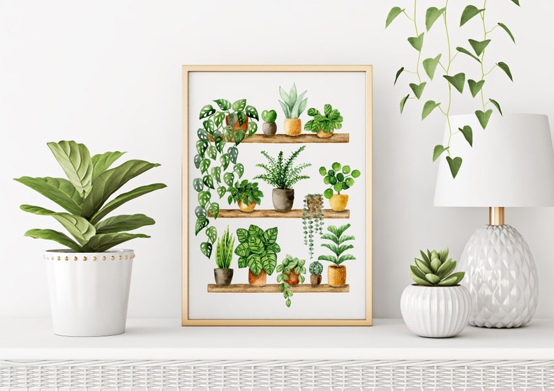 Pflanzen Poster 'Plant Shelfie 2' Großformat Fine Art Druck botanische Kunst Wanddekoration Aquarell Malerei kleines Geschenk Bild 1