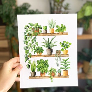 Pflanzen Poster 'Plant Shelfie 2' Großformat Fine Art Druck botanische Kunst Wanddekoration Aquarell Malerei kleines Geschenk Bild 4