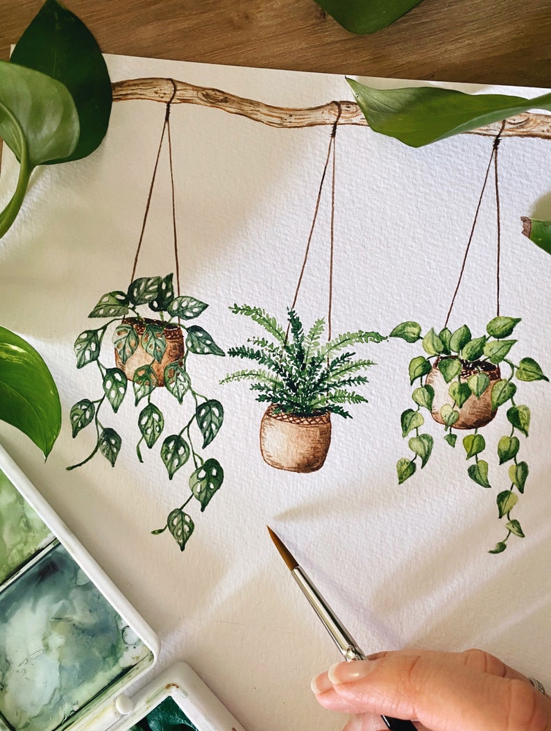 Hängepflanzen Poster, Aquarellbild Zimmerpflanzen, botanische Wanddekoration, Monstera Farn Philodendron Bild 3