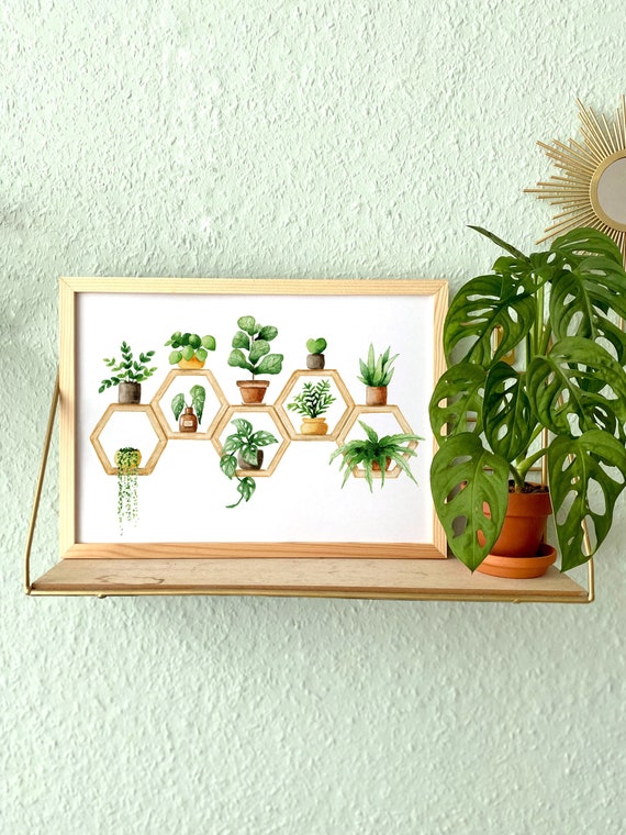 Plant Poster Plant Shelf' All Sizes Fine Etsy