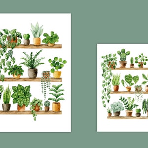 Pflanzen Poster 'Plant Shelfie 2' Großformat Fine Art Druck botanische Kunst Wanddekoration Aquarell Malerei kleines Geschenk Bild 9