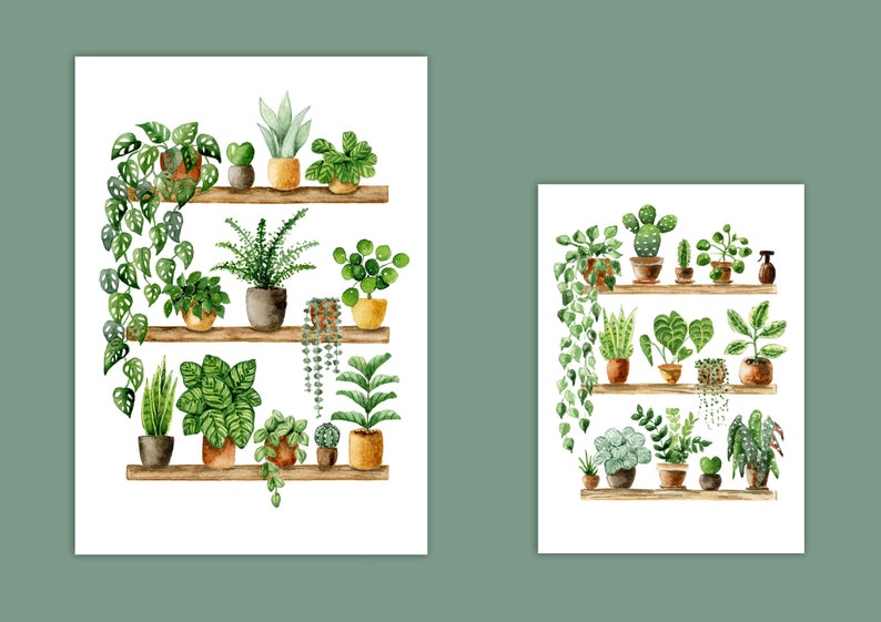 Pflanzen Poster 'Plant Shelfie 2' Großformat Fine Art Druck botanische Kunst Wanddekoration Aquarell Malerei kleines Geschenk Bild 9