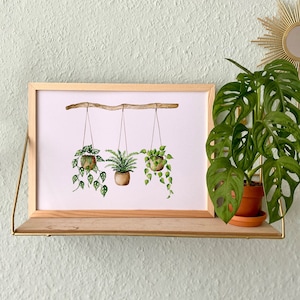 Hängepflanzen Poster, Aquarellbild Zimmerpflanzen, botanische Wanddekoration, Monstera Farn Philodendron Bild 2