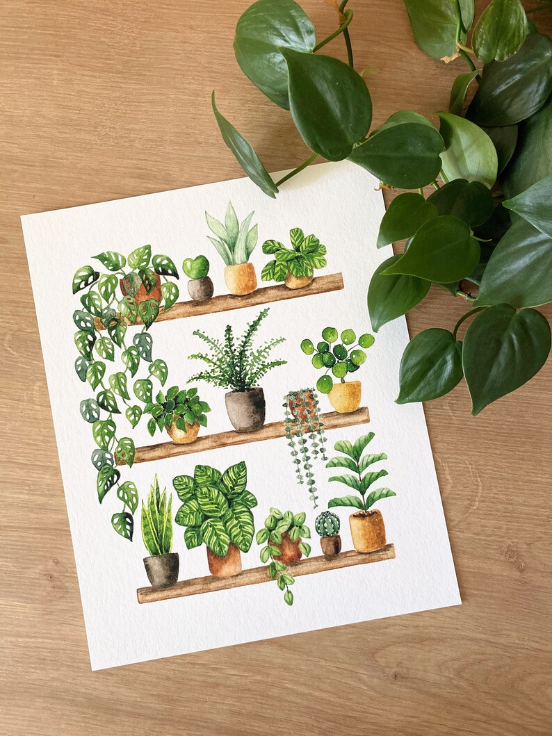 Pflanzen Poster 'Plant Shelfie 2' Großformat Fine Art Druck botanische Kunst Wanddekoration Aquarell Malerei kleines Geschenk Bild 8