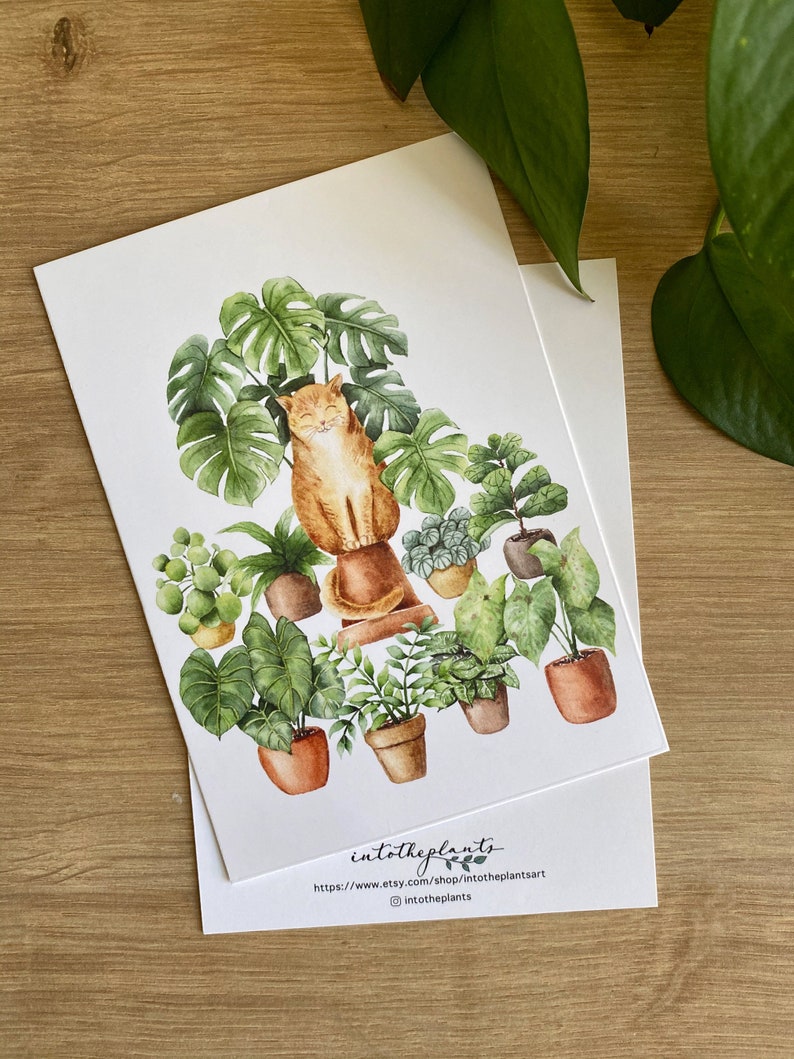 Cat lover card, cat art, gifts for cat lovers, cat and plant illustration, pet watercolor, jungle cat, house plants painting image 6