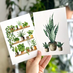 Pflanzen Poster 'Plant Shelfie 2' Großformat Fine Art Druck botanische Kunst Wanddekoration Aquarell Malerei kleines Geschenk Bild 7