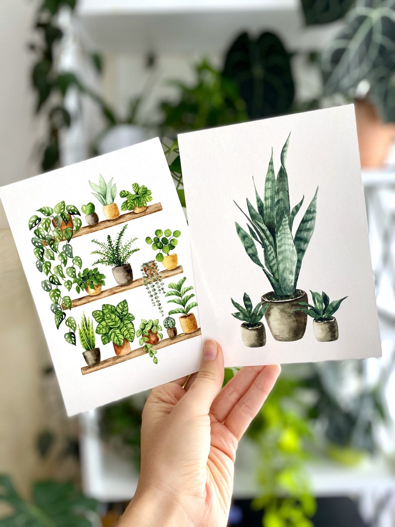 Pflanzen Poster 'Plant Shelfie 2' Großformat Fine Art Druck botanische Kunst Wanddekoration Aquarell Malerei kleines Geschenk Bild 7