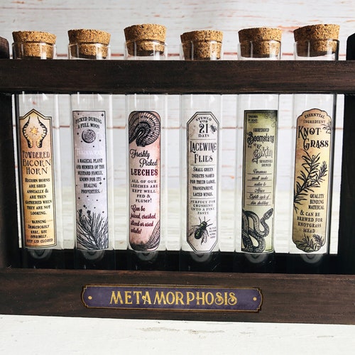 Set 1 Apothecary Potion Stand With 6 Potion Test Tubes Magic Etsy