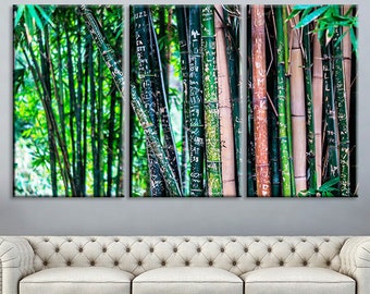 Bamboo Canvas Art Set Bamboo Poster Print Bamboo Wall Decor Home Decoration Artwork Bamboo Photography Bamboo Forest Canvas Art Forest Art