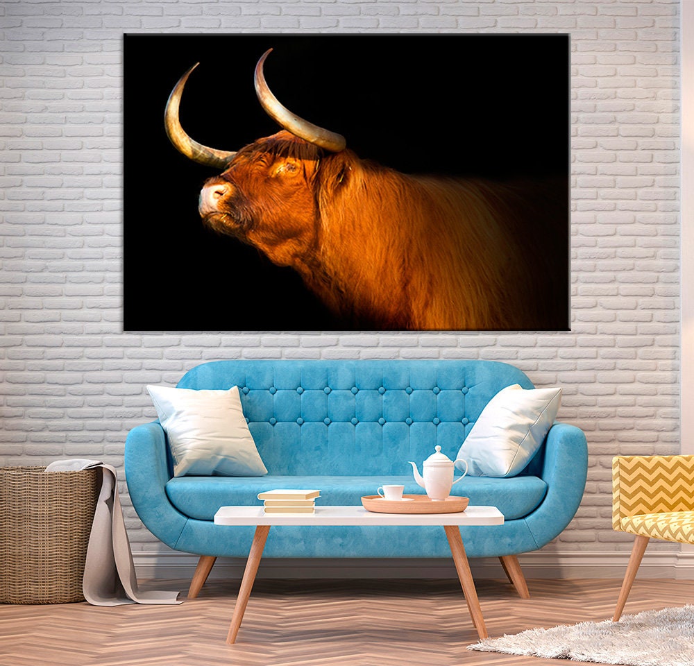 Scottish Cattle Wall Art Bull Canvas Wall Art Bull Print Decor Etsy