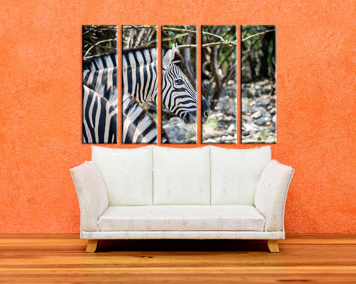 Zebra on Canvas Wall Art Zebra Print Zebra Split Wall Art Etsy