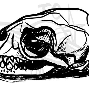 Sea Lion Skull | Personal License | Hand Drawn Art | SVG | PNG | DXF | Clipart | Vinyl | Cut File | Digital | Printable | Animals