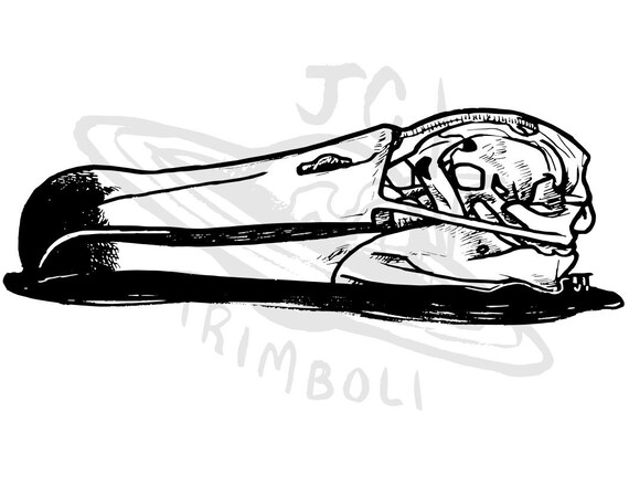 Albatross Shekull Gewerbe Lizenz Hand Drawn Art Svg Png Etsy