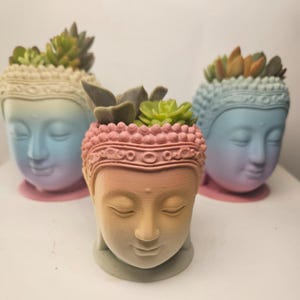 May include: Three colourful Buddha head planters with succulent plants. The planters are painted in a gradient of blue, pink and yellow.