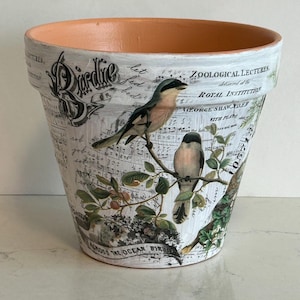 May include: A white ceramic flower pot with a distressed finish, featuring bird illustrations and botanical elements. The pot has the word "Birdie" and text from "Zoological Lectures" printed on it. The interior is painted orange.