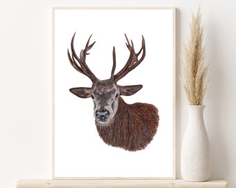 Original Reindeer Drawing | Hand Drawn Coloured Pencil Drawing | A4 Original Art | Christmas Gift | Deer Art | Stag Art | Christmas Design