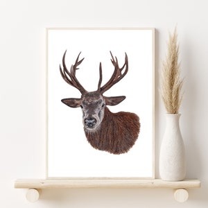 Original Reindeer Drawing | Hand Drawn Coloured Pencil Drawing | A4 Original Art | Christmas Gift | Deer Art | Stag Art | Christmas Design