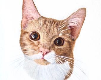 Custom Pet Portrait | Hand Drawn Coloured Pencil Pet Commission | A4 Pet Art Commission | Dog Lover Gift | Cat Lover Gift | Cat Home Decor