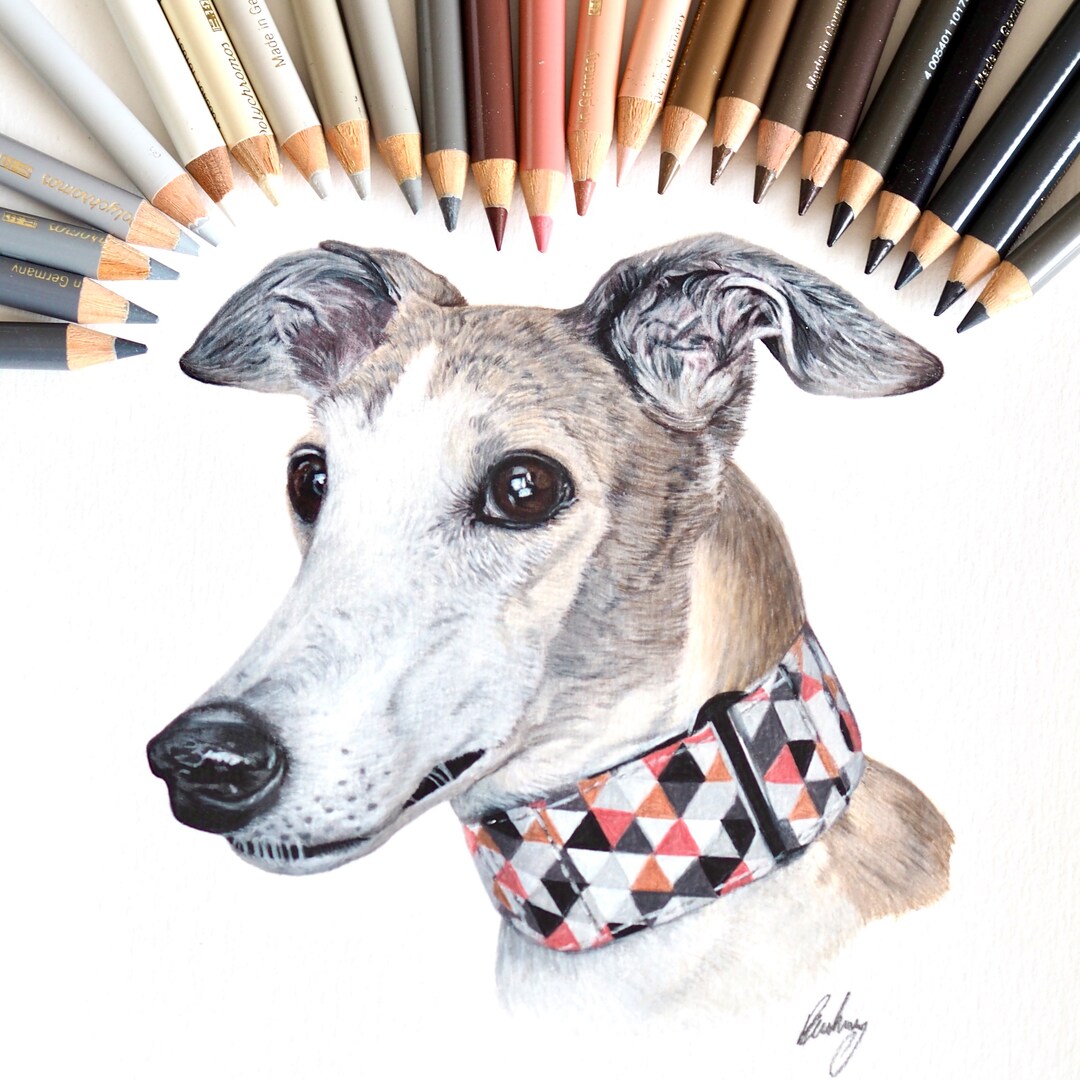 Custom Pet Portrait | Hand Drawn Coloured Pencil Pet Commission | A4 ...