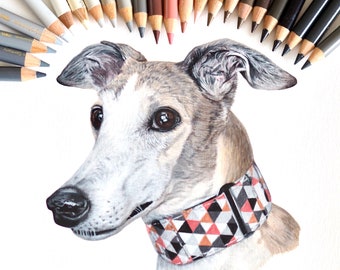 Custom Pet Portrait | Hand Drawn Coloured Pencil Pet Commission | A4 Pet Art Commission | Dog Lover Gift | Cat Lover Gift | Dog Home Decor