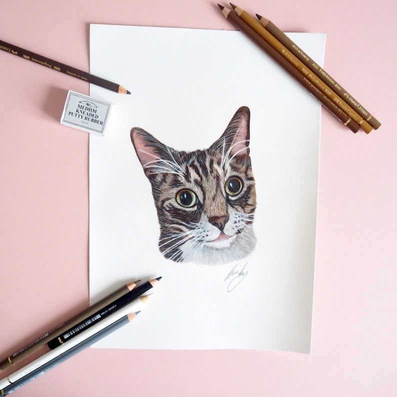 Custom Pet Portrait Hand Drawn Coloured Pencil Pet Etsy