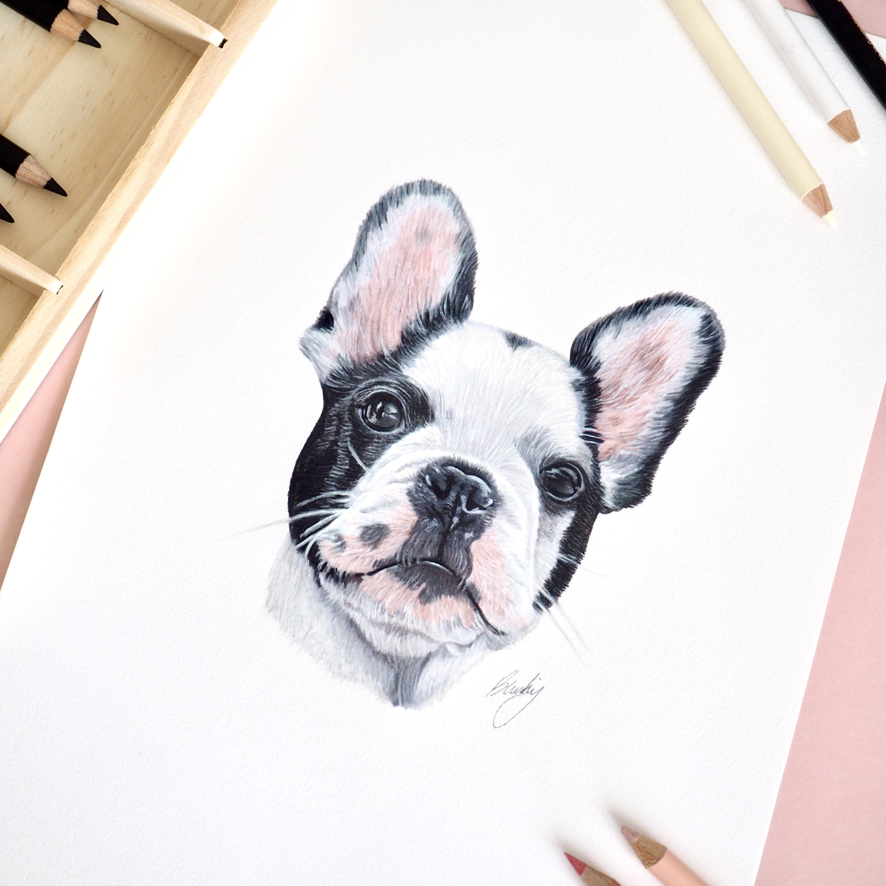 Custom Pet Portrait | Hand Drawn Coloured Pencil Pet Commission | A4 ...