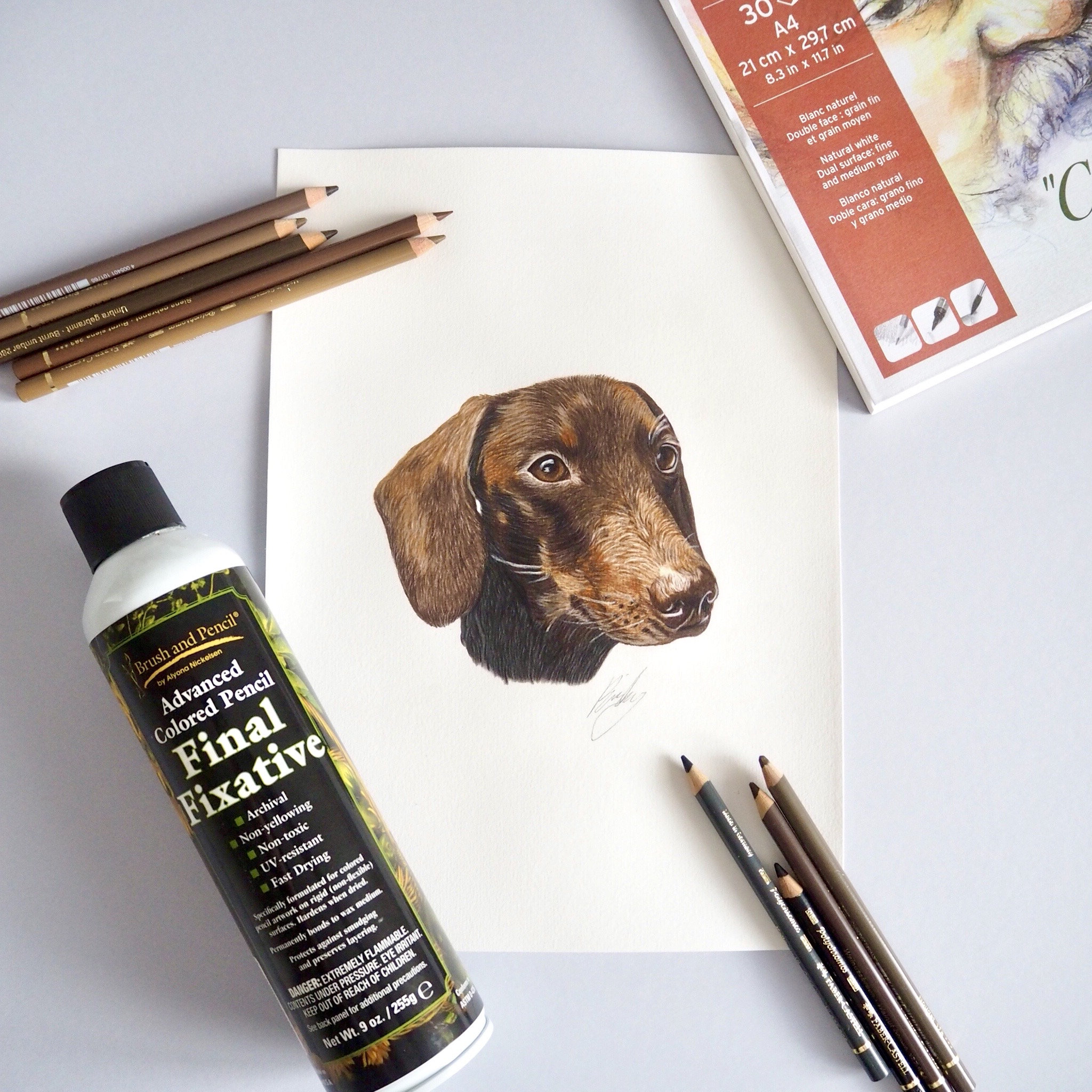 Custom Pet Portrait | Hand Drawn Coloured Pencil Pet Commission | A4 ...
