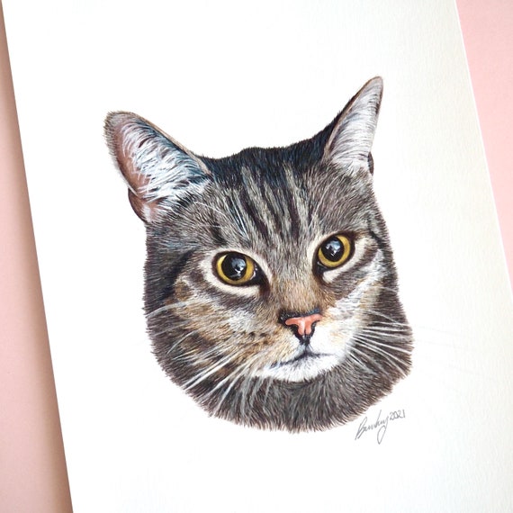 Tabby - Custom Mix Tabby - Custom Mix