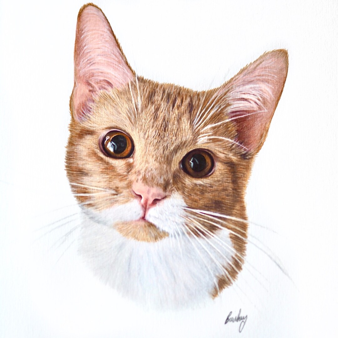 Custom Pet Portrait | Hand Drawn Coloured Pencil Pet Commission | A4 ...