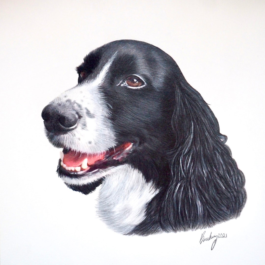 Custom Pet Portrait | Hand Drawn Coloured Pencil Pet Commission | A4 ...