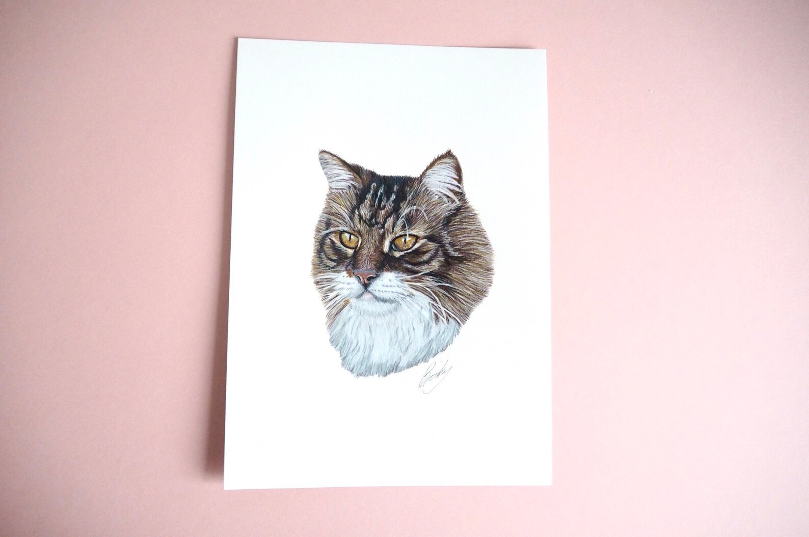 Custom Pet Portrait | Hand Drawn Coloured Pencil Pet Commission | A4 ...