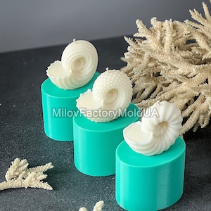 May include: Three white seashell-shaped candles on teal-coloured cylindrical bases. The candles are arranged in a row on a dark grey surface.