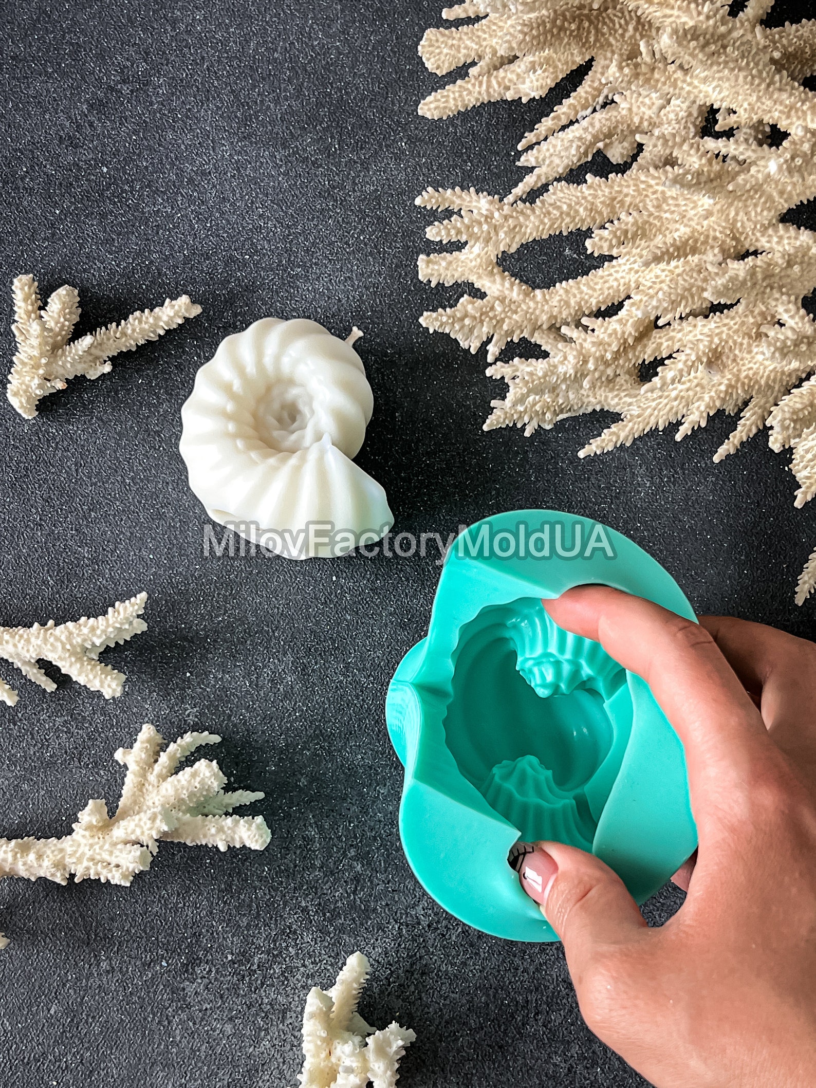 Shell Ammonites Silicone Mold - Shell Candle Mold - Shell Soap Mold ...